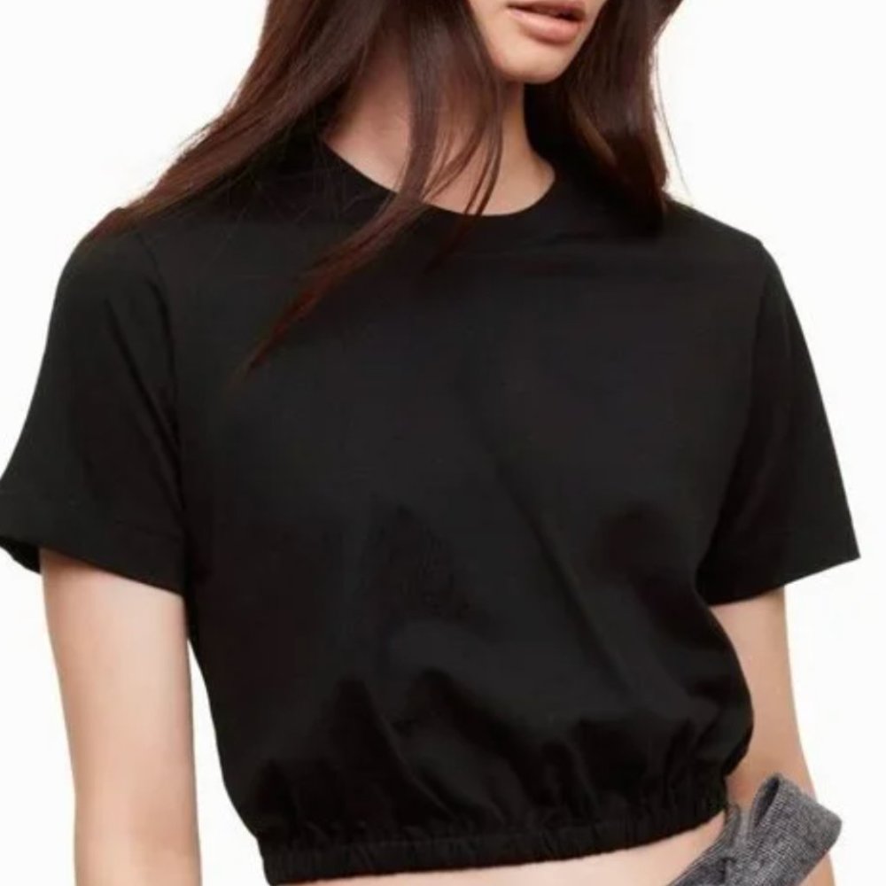 Aritzia Piaf Cropped T-shirt